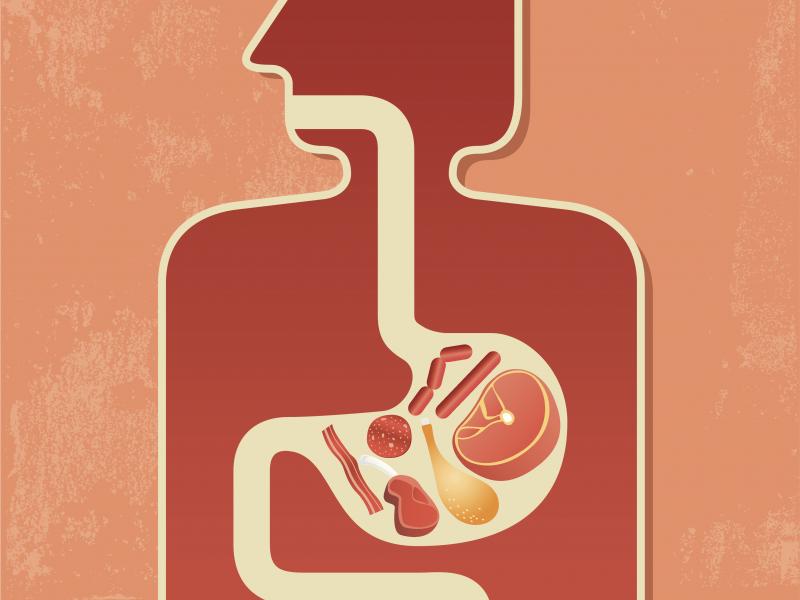 A small new study shows that successful dieters had an abundance of a bacteria called Phascolarctobacterium, whereas another bacteria, Dialister, was associated with a failure to lose weight. A small new study shows that successful dieters had an abundance of a bacteria called Phascolarctobacterium, whereas another bacteria, Dialister, was associated with a failure to lose weight.
