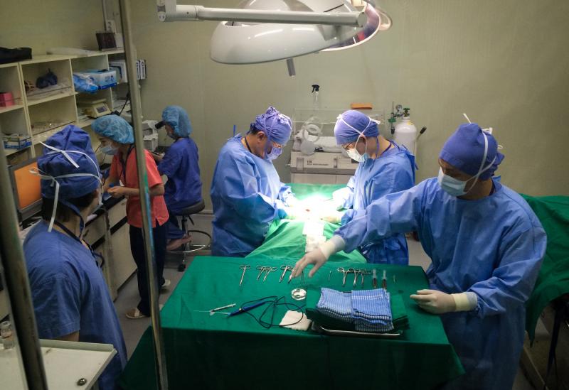 A surgical team at Sooam Biotech in Seoul, South Korea, injects cloned embryos into the uterus of an anesthetized dog. A surgical team at Sooam Biotech in Seoul, South Korea, injects cloned embryos into the uterus of an anesthetized dog.