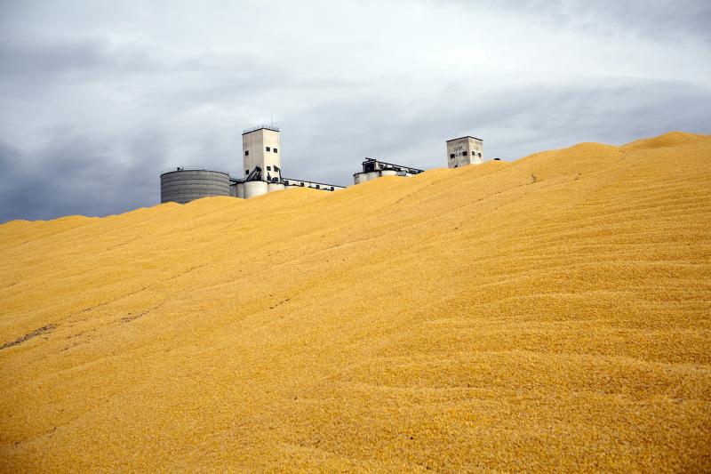 Surplus corn is piled outside a storage silo in Paoli, Colo. Do federal farm subsidies encourage the production — and perhaps overconsumption — of things that we're told to eat less of, like high fructose corn syrup or meat produced from livestock rai Surplus corn is piled outside a storage silo in Paoli, Colo. Do federal farm subsidies encourage the production — and perhaps overconsumption — of things that we're told to eat less of, like high fructose corn syrup or meat produced from livestock rai