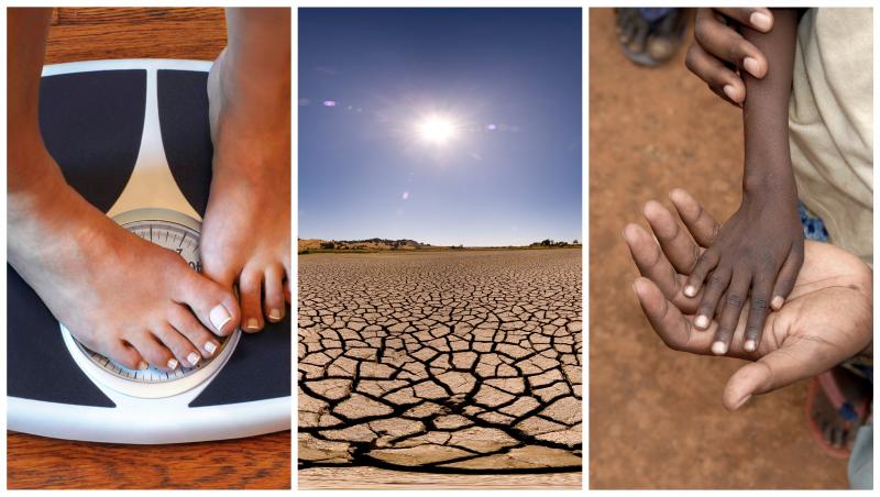 A new study points to the connections between climate change, lack of proper nutrition and obesity. A new study points to the connections between climate change, lack of proper nutrition and obesity.