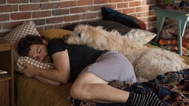 Dax (Adam Pally) and friend/comforter in Dog Days. Dax (Adam Pally) and friend/comforter in Dog Days.