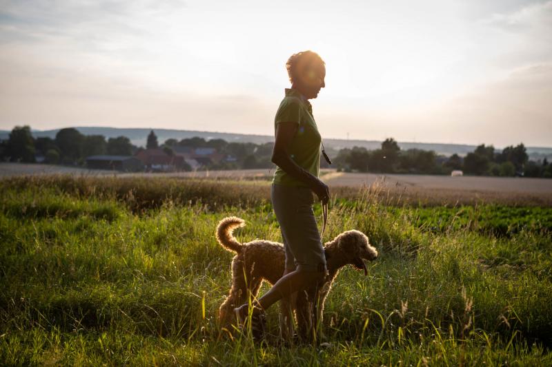 Older adults who own dogs walk more than those who don't own dogs, and that they're moving at a good clip, a study finds. Older adults who own dogs walk more than those who don't own dogs, and that they're moving at a good clip, a study finds.