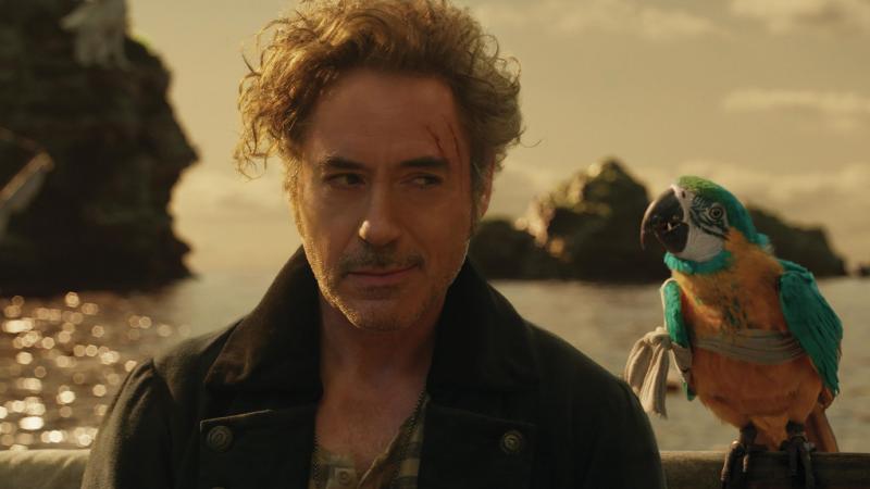"Polly want a movie!": Dr. John Dolittle (Robert Downey Jr.) and parrot (voiced by Emma Thompson) are lost at sea in Dolittle. "Polly want a movie!": Dr. John Dolittle (Robert Downey Jr.) and parrot (voiced by Emma Thompson) are lost at sea in Dolittle.