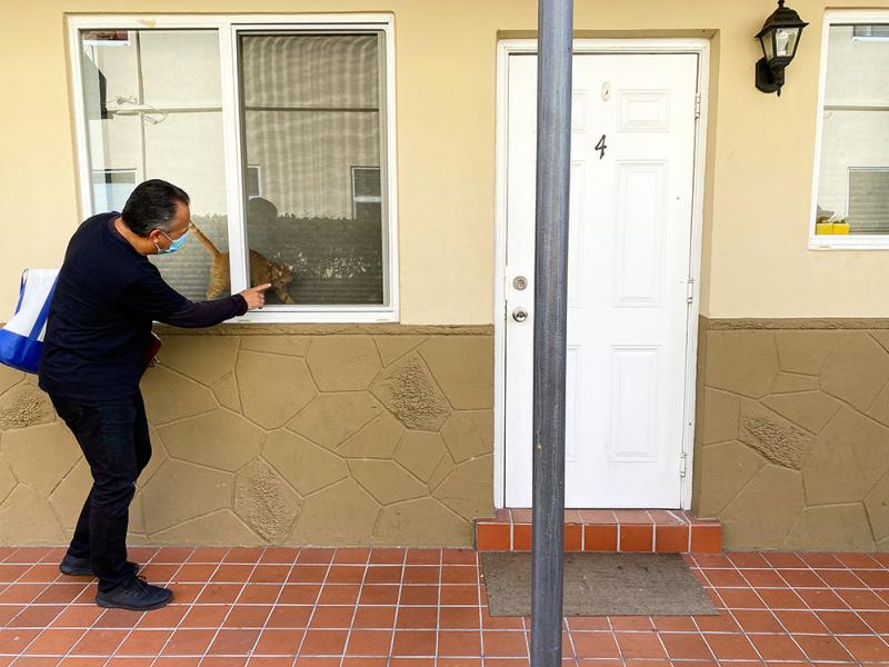 Alejandro Díaz greets a cat on Oct. 23 at an apartment complex in the Little Havana neighborhood of Miami. He's an outreach worker with Healthy Little Havana, going door to door to talk to people about getting tested for COVID-19. Alejandro Díaz greets a cat on Oct. 23 at an apartment complex in the Little Havana neighborhood of Miami. He's an outreach worker with Healthy Little Havana, going door to door to talk to people about getting tested for COVID-19.