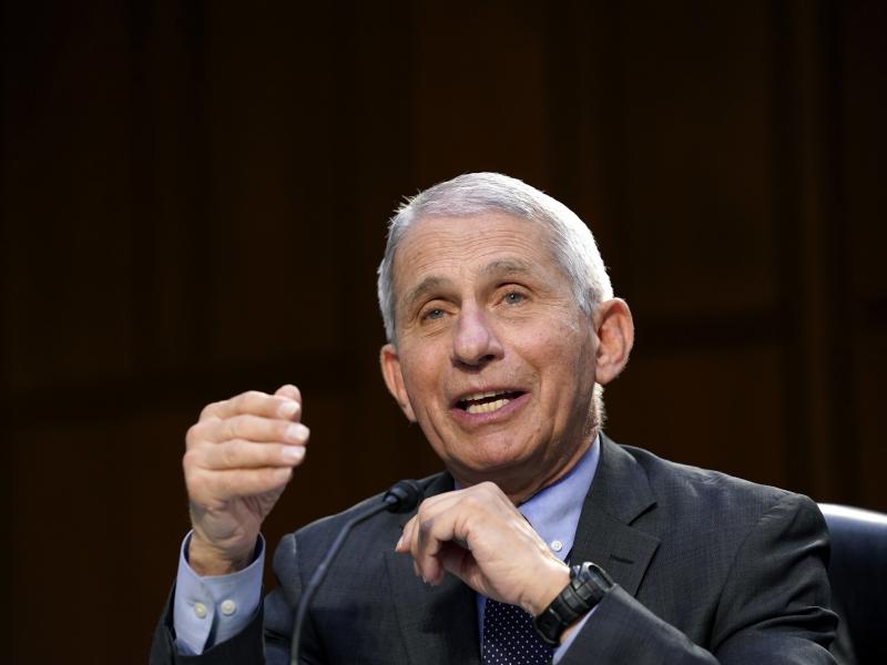 In this March 18, 2021 file photo, Dr. Anthony Fauci testifies during a Senate Health, Education, Labor and Pensions Committee hearing. In this March 18, 2021 file photo, Dr. Anthony Fauci testifies during a Senate Health, Education, Labor and Pensions Committee hearing.