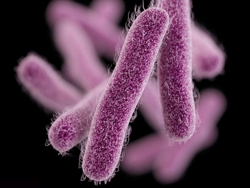Shigella is a huge problem around the world. The bacteria infect about 100 million people each year and kill about 600,000. Shigella is a huge problem around the world. The bacteria infect about 100 million people each year and kill about 600,000.
