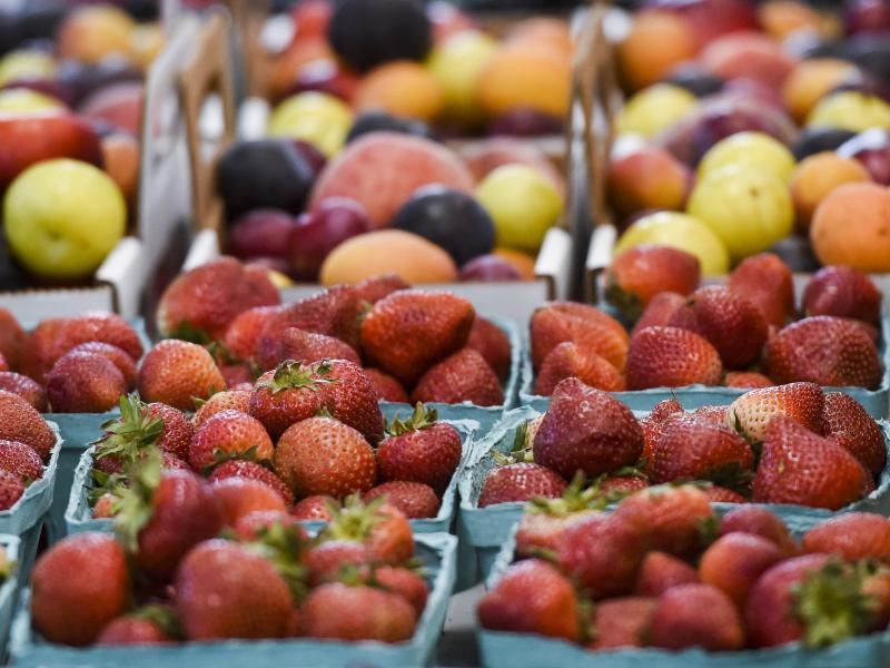 Farmers have been spraying chlorpyrifos on crops, including strawberries, apples, citrus, broccoli, and corn since 1965. Farmers have been spraying chlorpyrifos on crops, including strawberries, apples, citrus, broccoli, and corn since 1965.