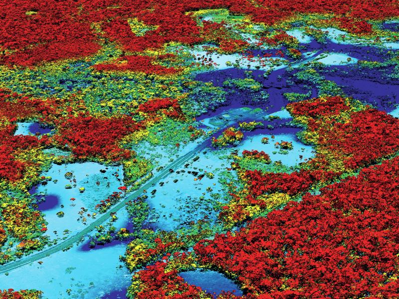 A scan produced by Gregory Asner's airborne, laser-and-spectrometer-equipped lab. A scan produced by Gregory Asner's airborne, laser-and-spectrometer-equipped lab.