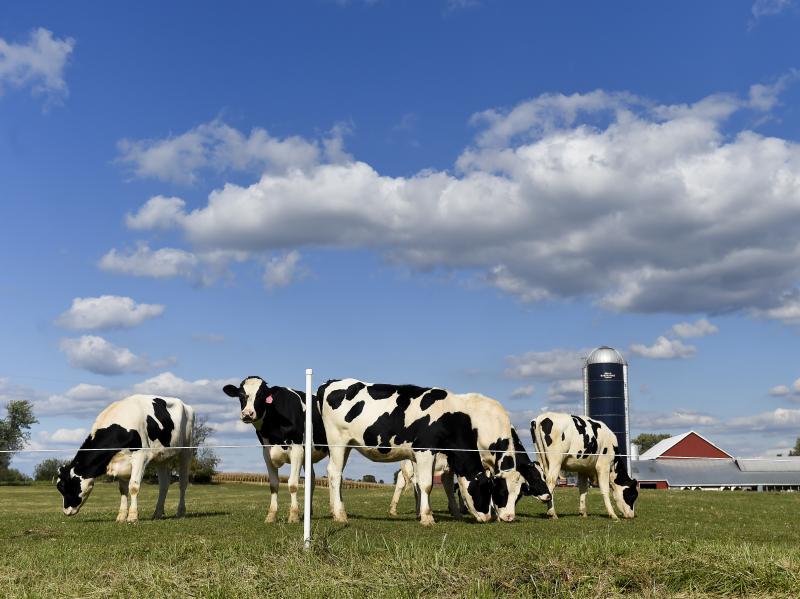 Digital food magazine Epicurious has announced it will stop publishing new recipes featuring beef in an effort to promote more sustainable cooking. Digital food magazine Epicurious has announced it will stop publishing new recipes featuring beef in an effort to promote more sustainable cooking.
