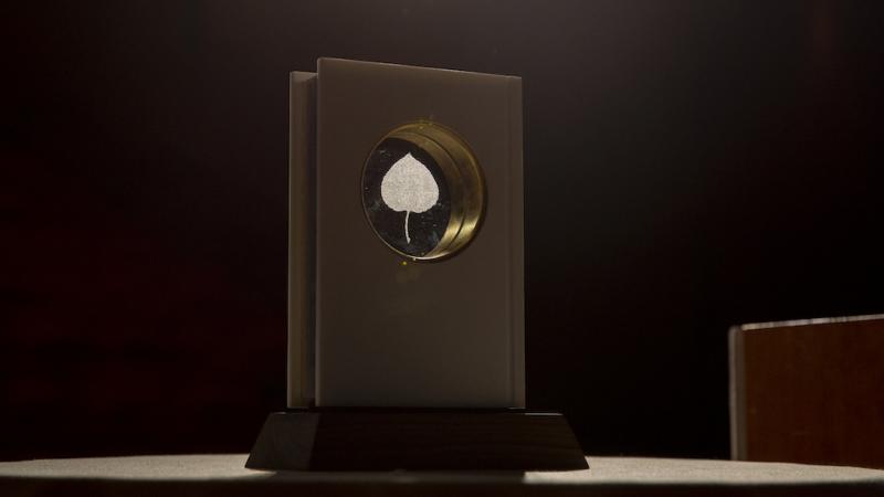 The Aspen Words Literary Prize honors fiction that "illuminates a vital contemporary issue." The Aspen Words Literary Prize honors fiction that "illuminates a vital contemporary issue."