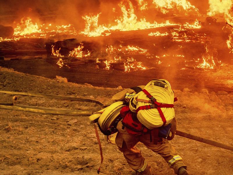 A firefighter carries a hose while battling the Glass Fire in a Calistoga, Calif., vineyard, Oct. 1 A firefighter carries a hose while battling the Glass Fire in a Calistoga, Calif., vineyard, Oct. 1