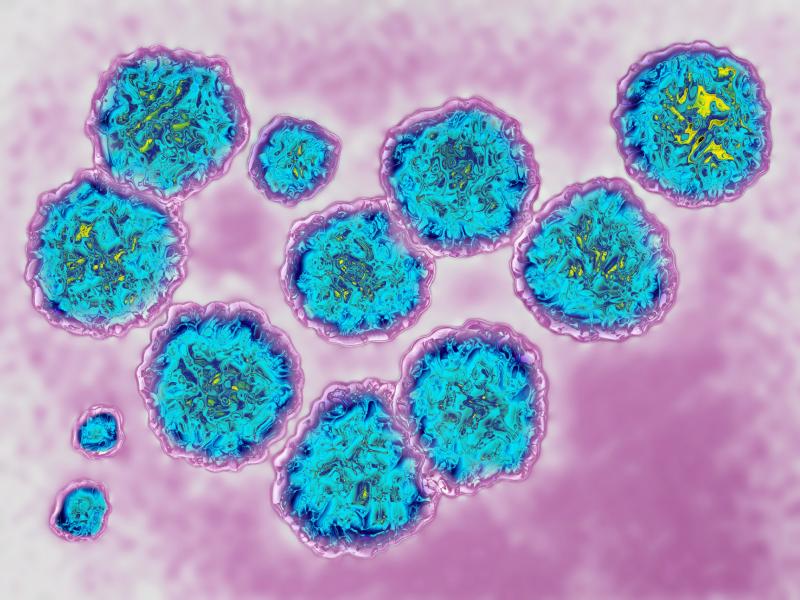 Hepatitis C virus, via transmission electron microscopy. (The actual viral diameter is around 22 nm.) Doctors say the recent FDA approval of Mavyret, a less expensive drug for treating the virus, may make it easier for more insurers and correctional facil Hepatitis C virus, via transmission electron microscopy. (The actual viral diameter is around 22 nm.) Doctors say the recent FDA approval of Mavyret, a less expensive drug for treating the virus, may make it easier for more insurers and correctional facil