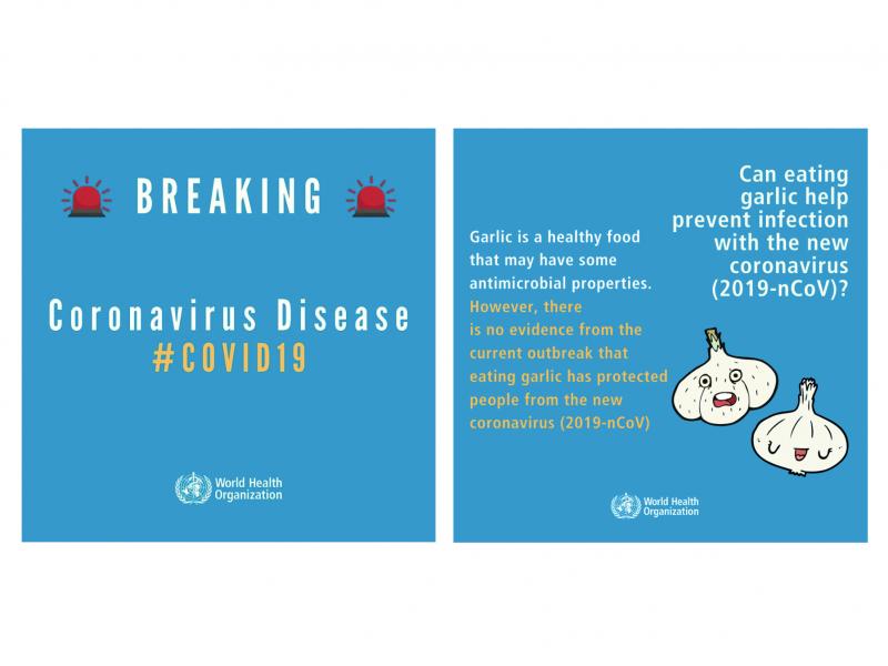 The World Health Organization is sharing posts like these to debunk widely circulated rumors about the coronavirus on its social media. The World Health Organization is sharing posts like these to debunk widely circulated rumors about the coronavirus on its social media.