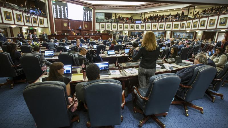 Florida Rep. Kristin Diane Jacobs speaks on the gun safety bill in the House chamber at the state capitol. Victims' families are urging them to pass the law. Florida Rep. Kristin Diane Jacobs speaks on the gun safety bill in the House chamber at the state capitol. Victims' families are urging them to pass the law.