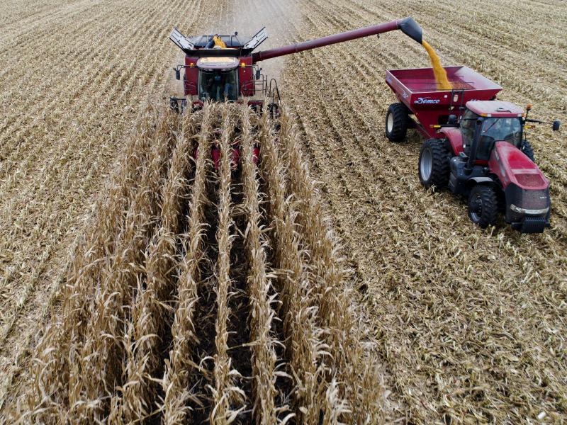 After being stalled in negotiations for months, mostly around disputes over SNAP, the farm bill the conference report has been released. After being stalled in negotiations for months, mostly around disputes over SNAP, the farm bill the conference report has been released.