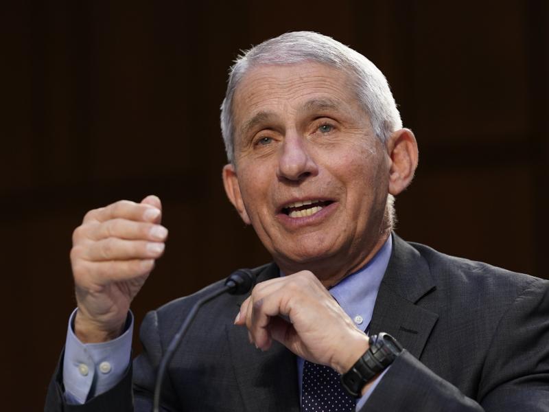 Dr. Anthony Fauci, director of the National Institute of Allergy and Infectious Diseases, testifies during a Senate hearing last month on the federal coronavirus response. Dr. Anthony Fauci, director of the National Institute of Allergy and Infectious Diseases, testifies during a Senate hearing last month on the federal coronavirus response.
