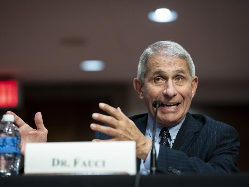 Dr. Anthony Fauci, director of the National Institute of Allergy and Infectious Diseases, speaks during a Senate Health, Education, Labor and Pensions Committee hearing on Tuesday. Dr. Anthony Fauci, director of the National Institute of Allergy and Infectious Diseases, speaks during a Senate Health, Education, Labor and Pensions Committee hearing on Tuesday.