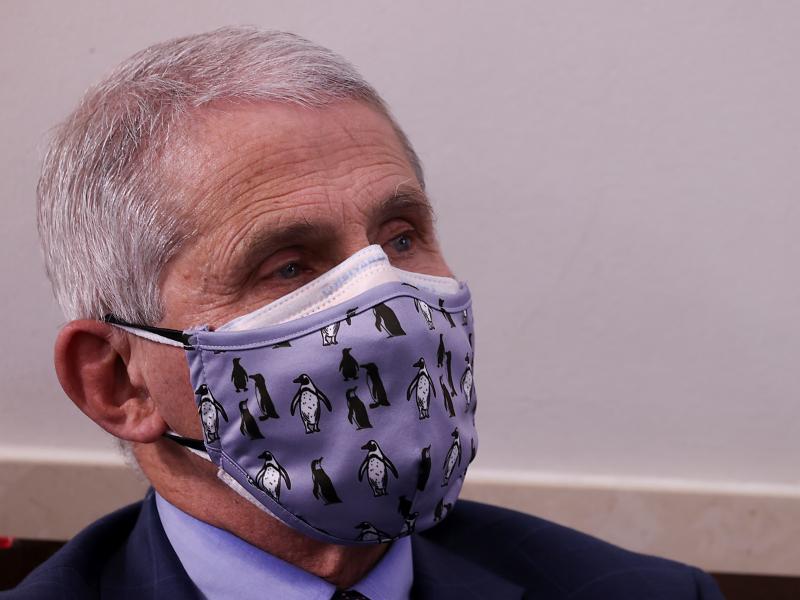Dr. Anthony Fauci, director of the National Institute of Allergy and Infectious Diseases, warns that holiday gatherings could lead to "a really dark time for us" by mid-January. Dr. Anthony Fauci, director of the National Institute of Allergy and Infectious Diseases, warns that holiday gatherings could lead to "a really dark time for us" by mid-January.
