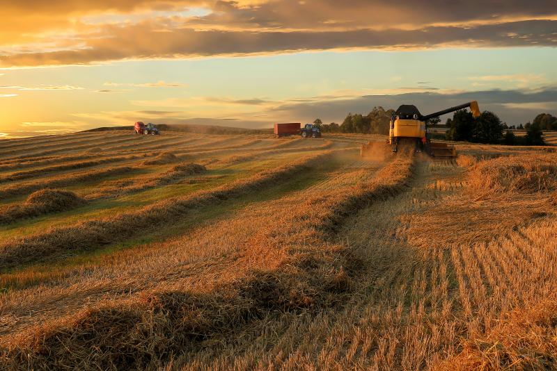 Farmers work during a harvest in Jutland, Denmark. People keep worrying about food shortages. Some economists say the fears actually create their own problems. Farmers work during a harvest in Jutland, Denmark. People keep worrying about food shortages. Some economists say the fears actually create their own problems.