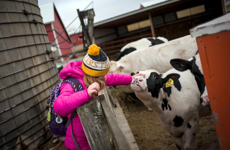 Not only are kids raising animals and learning the how-tos of vaccinations and record-keeping, 4-H'ers are also being taught how to add up the costs and weigh them against future profits. Not only are kids raising animals and learning the how-tos of vaccinations and record-keeping, 4-H'ers are also being taught how to add up the costs and weigh them against future profits.