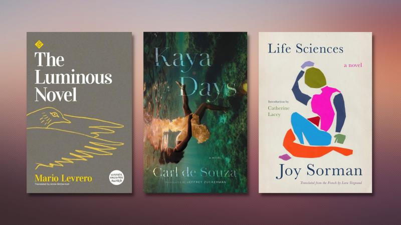 The Luminous Novel, Kaya Days, and Life Sciences The Luminous Novel, Kaya Days, and Life Sciences