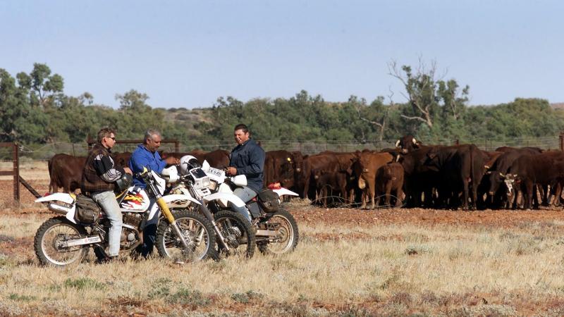 Workers from the Anna Creek cattle ranch take a break from work on the Oodnadatta Track. Workers from the Anna Creek cattle ranch take a break from work on the Oodnadatta Track.