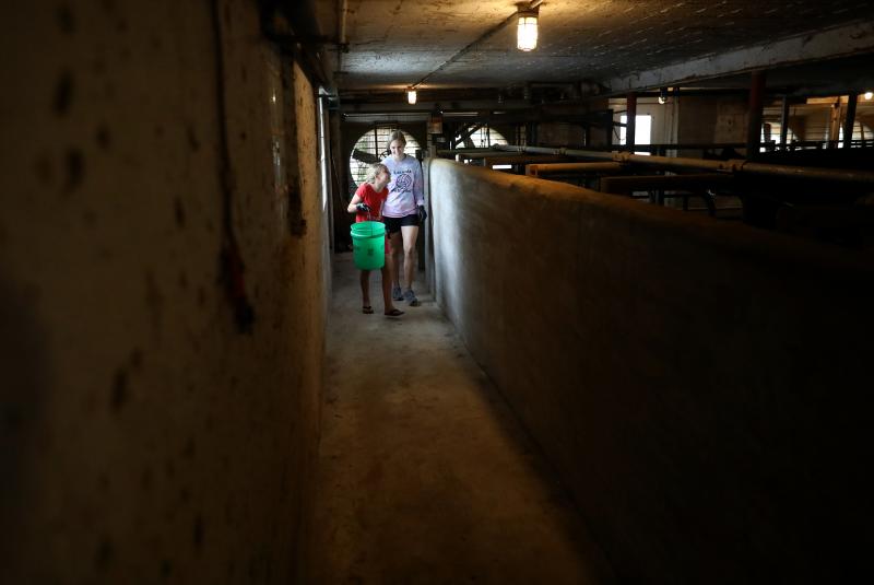 Eve Clark, 10, and Maggie Berry, 17, help with chores at Vision Aire Farms. They are seen in the barn, adjacent to the milking parlor. Eve Clark, 10, and Maggie Berry, 17, help with chores at Vision Aire Farms. They are seen in the barn, adjacent to the milking parlor.