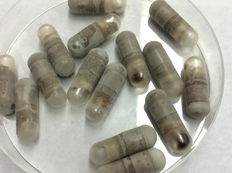 Fecal transplant pills help patients avoid invasive procedures while restoring healthy gut bacteria. Fecal transplant pills help patients avoid invasive procedures while restoring healthy gut bacteria.
