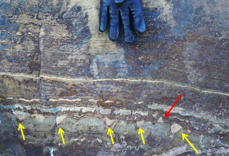 A new analysis of what were initially thought to be microbial fossils in Greenland suggests they might instead just be mineral structures created when ancient tectonic forces squeezed stone. While most of the structures point in one direction, the red arr A new analysis of what were initially thought to be microbial fossils in Greenland suggests they might instead just be mineral structures created when ancient tectonic forces squeezed stone. While most of the structures point in one direction, the red arr