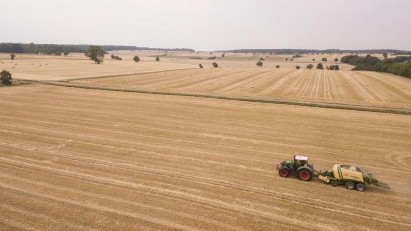 The harvest is bad for German farmers this year as the country has experienced the hottest summer on record and months without rainfall. The harvest is bad for German farmers this year as the country has experienced the hottest summer on record and months without rainfall.