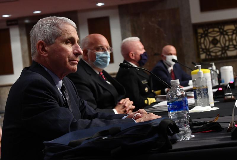 Dr. Anthony Fauci and other top government health officials testify before the Senate health and education committee on Tuesday. Dr. Anthony Fauci and other top government health officials testify before the Senate health and education committee on Tuesday.