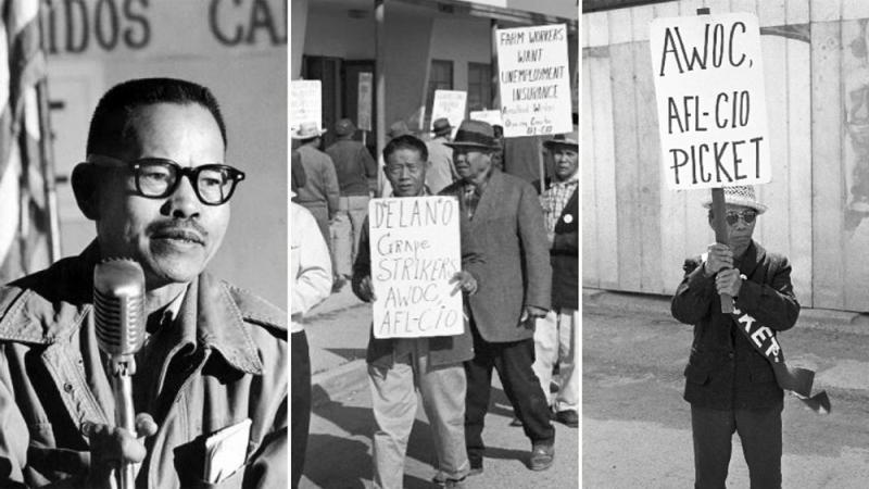 Filipino farmworkers, including Larry Itliong (left), were the first to walk out of vineyards, prompting the Delano Grape Strike. They would join forces with Mexican laborers led by Cesar Chavez to form the United Farm Workers. Filipino farmworkers, including Larry Itliong (left), were the first to walk out of vineyards, prompting the Delano Grape Strike. They would join forces with Mexican laborers led by Cesar Chavez to form the United Farm Workers.