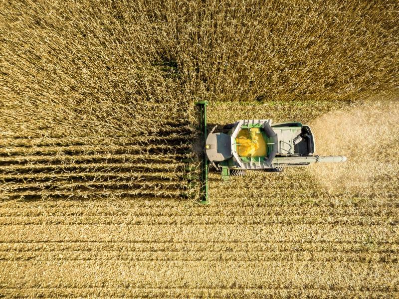 An aerial view of a combine harvesting corn in a field near Jarrettsville, Md. A new study ties an estimated 4,300 premature deaths a year to the air pollution caused by corn production in the U.S. An aerial view of a combine harvesting corn in a field near Jarrettsville, Md. A new study ties an estimated 4,300 premature deaths a year to the air pollution caused by corn production in the U.S.