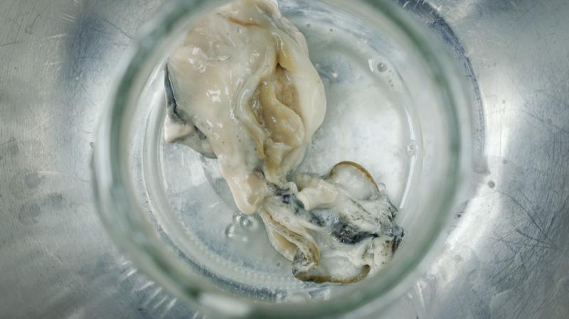 Oysters, shown out of their shell, collect tiny plastic particles while in the water. These microplastics can eventually make their way into your dinner. Oysters, shown out of their shell, collect tiny plastic particles while in the water. These microplastics can eventually make their way into your dinner.