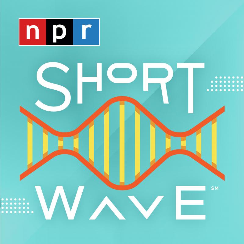 Short Wave podcast Short Wave podcast