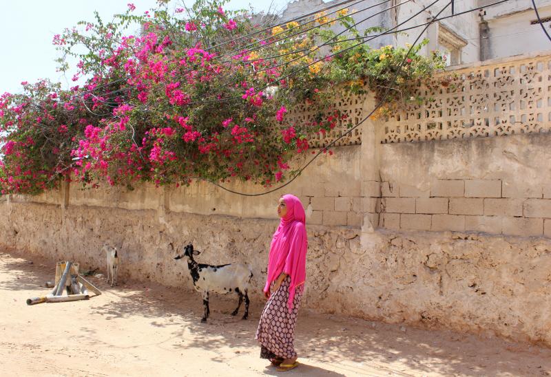 Ugaaso Boocow is back — and instagramming — in her homeland of Somalia. Ugaaso Boocow is back — and instagramming — in her homeland of Somalia.