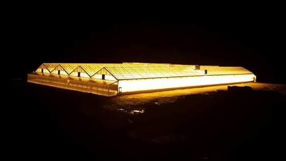 The lights inside LEF Farms' new greenhouse have replaced starry skies with a jarring and unnatural glow. The lights inside LEF Farms' new greenhouse have replaced starry skies with a jarring and unnatural glow.