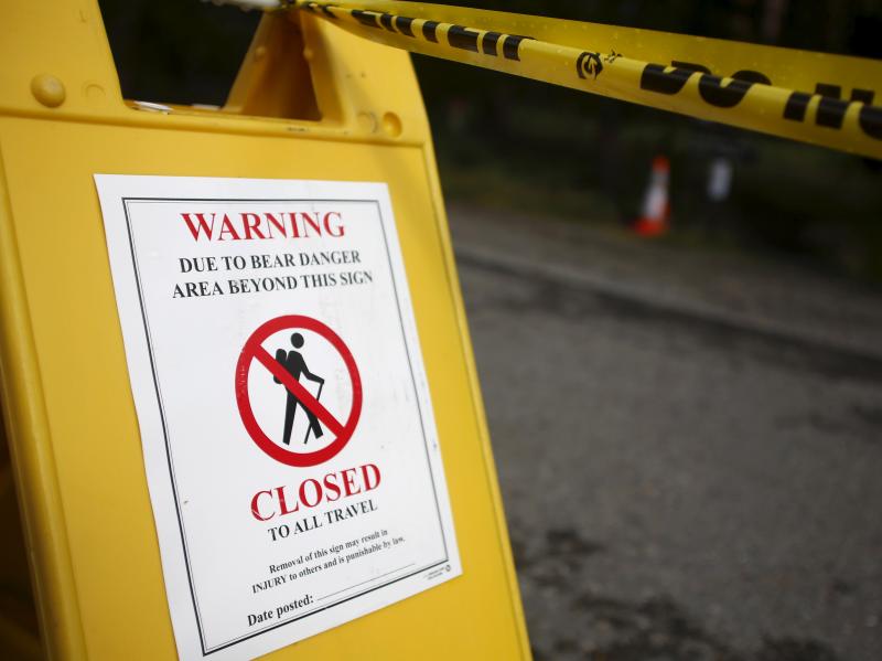 The Elephant Back Loop Trail and immediate area is closed because of the bear attack. The Elephant Back Loop Trail and immediate area is closed because of the bear attack.