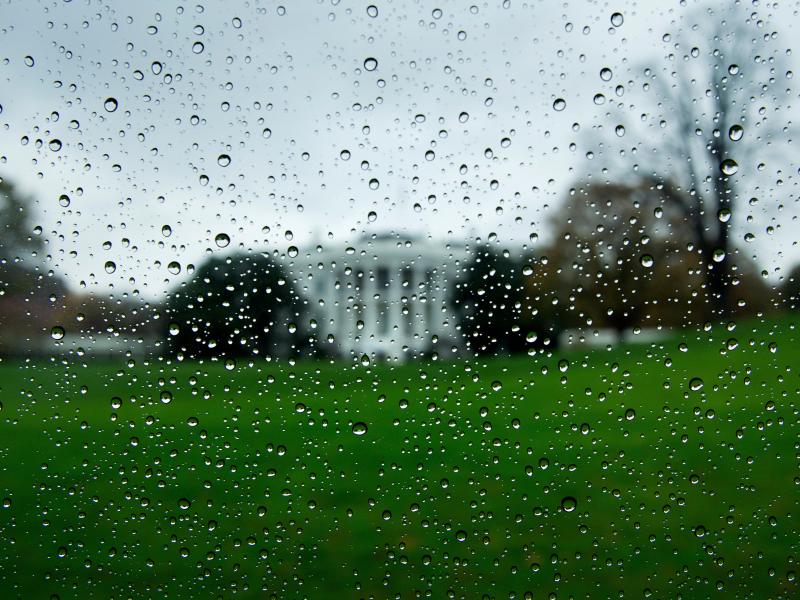 President Trump's loss to Joe Biden has made it difficult for Republicans to celebrate victories down ballot, while Democrats have been stung by the failure to meet expectations created by polling that suggested a blue tsunami. President Trump's loss to Joe Biden has made it difficult for Republicans to celebrate victories down ballot, while Democrats have been stung by the failure to meet expectations created by polling that suggested a blue tsunami.