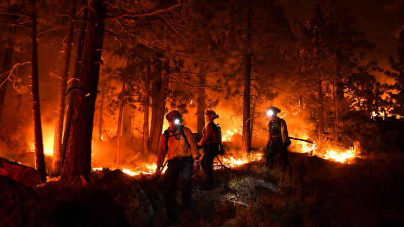 Firefighters battle the Caldor Fire this month along Highway 89 west of Lake Tahoe in California. Firefighters battle the Caldor Fire this month along Highway 89 west of Lake Tahoe in California.
