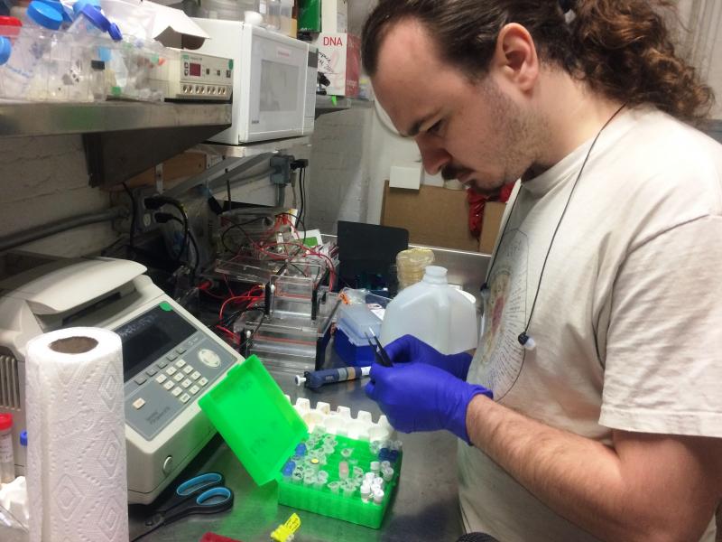 Will Shindel prepares for a gene-editing class using the CRISPR tool at a Brooklyn community lab called Genspace. Will Shindel prepares for a gene-editing class using the CRISPR tool at a Brooklyn community lab called Genspace.