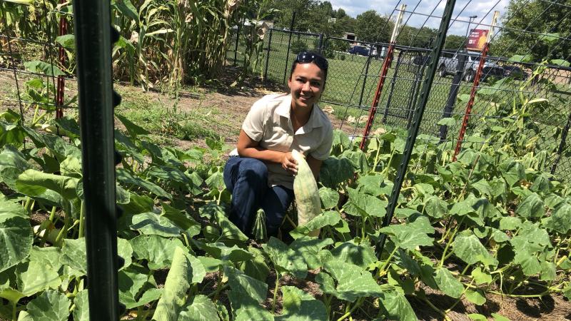 Cherokee Nation Cultural Biologist Feather Smith-Trevino holds an unripe Georgia Candy Roaster Squash at an educational garden in Tahlequah, Okla., where traditional native plants are grown. Cherokee Nation Cultural Biologist Feather Smith-Trevino holds an unripe Georgia Candy Roaster Squash at an educational garden in Tahlequah, Okla., where traditional native plants are grown.