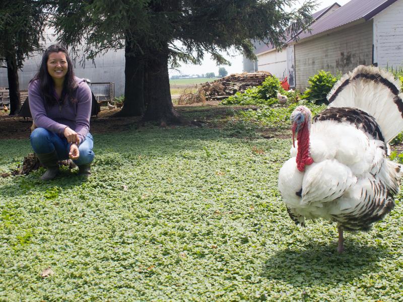 Farmer Wendy Johnson markets hogs, chickens, eggs and seasonal turkeys. She also grows organic row crops at Joia Food Farm near Charles City, Iowa. Farmer Wendy Johnson markets hogs, chickens, eggs and seasonal turkeys. She also grows organic row crops at Joia Food Farm near Charles City, Iowa.