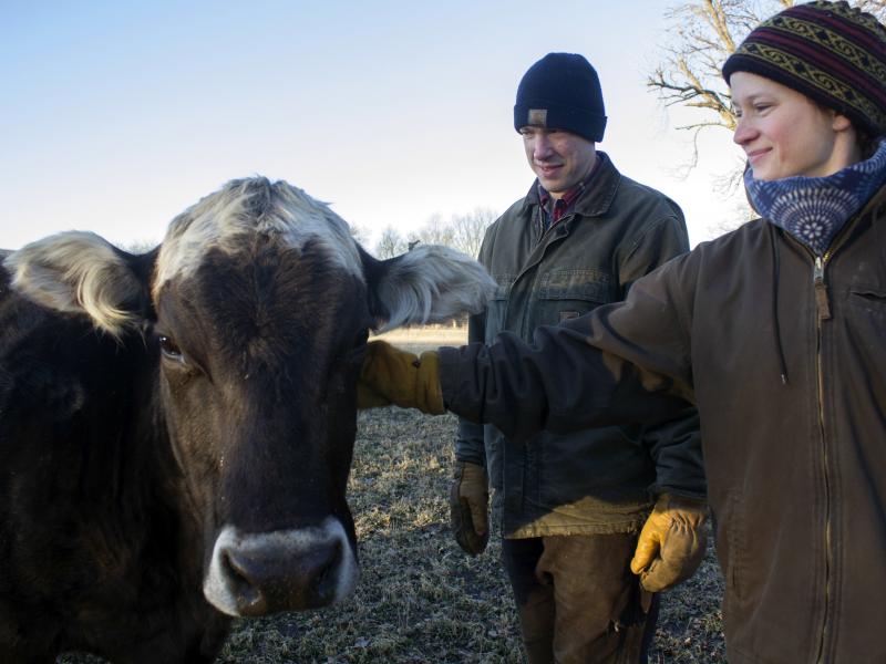 Kevin and Ranae Dietzel, owners of a small dairy herd near Jewell, Iowa, named their signature cheese after this cow, Ingrid. Kevin and Ranae Dietzel, owners of a small dairy herd near Jewell, Iowa, named their signature cheese after this cow, Ingrid.