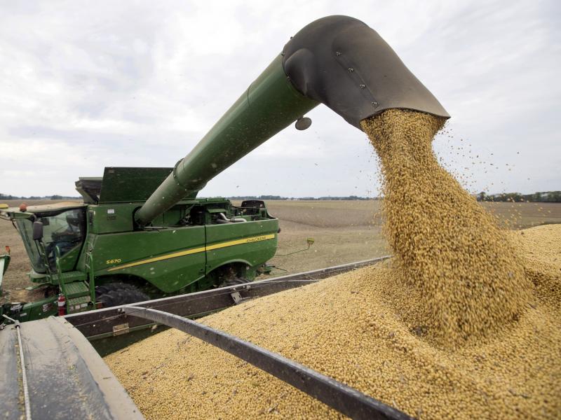 U.S. farmers have suffered a one-two punch of bad weather, which makes it hard to grow crops, and tariffs, which make it hard to sell what they grow. U.S. farmers have suffered a one-two punch of bad weather, which makes it hard to grow crops, and tariffs, which make it hard to sell what they grow.