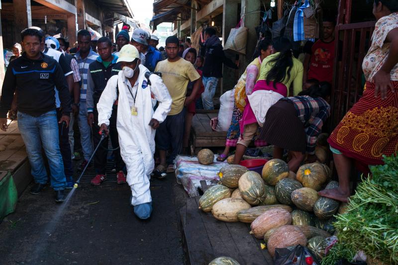 A municipal worker sprays disinfectant during the clean-up of a market in Madagascar's Anosibe district — a measure to fight the outbreak of bubonic plague, which can be spread by a flea bite. A municipal worker sprays disinfectant during the clean-up of a market in Madagascar's Anosibe district — a measure to fight the outbreak of bubonic plague, which can be spread by a flea bite.