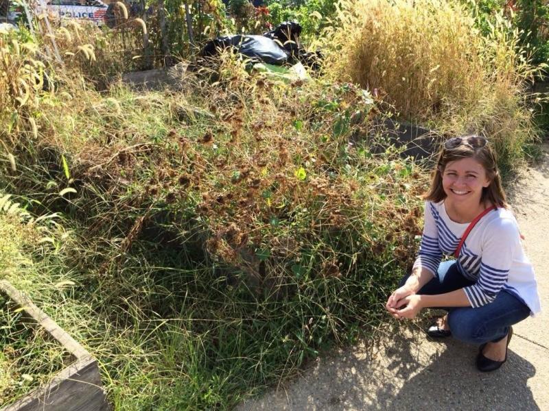 Here I am in 2015 confidently posed by the weeds I was ready to conquer. Here I am in 2015 confidently posed by the weeds I was ready to conquer.
