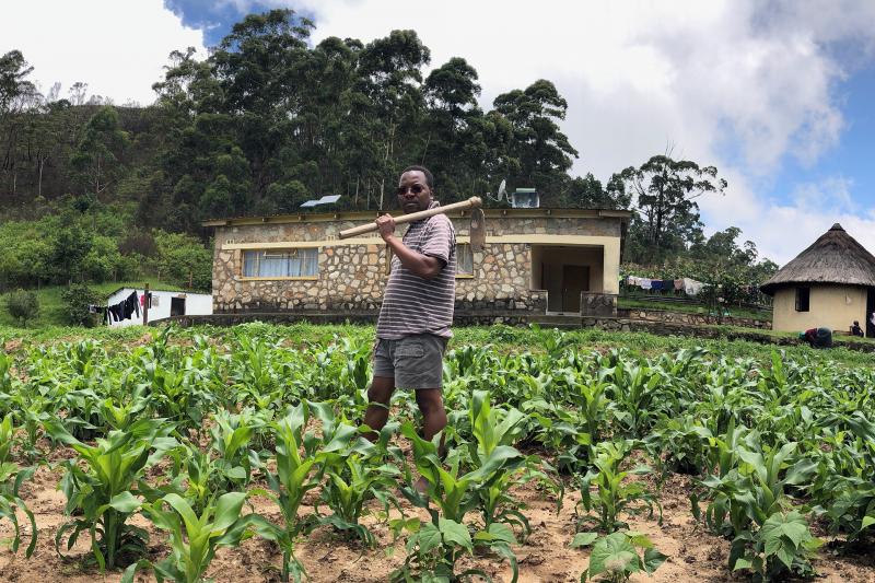 Ed Mabaya on his parents' farm in Zimbabwe. Ed Mabaya on his parents' farm in Zimbabwe.