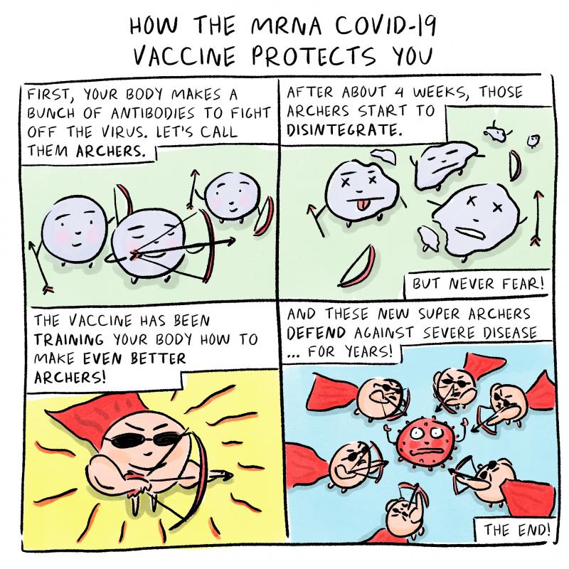 How the mRNA COVID-19 vaccine protects you How the mRNA COVID-19 vaccine protects you