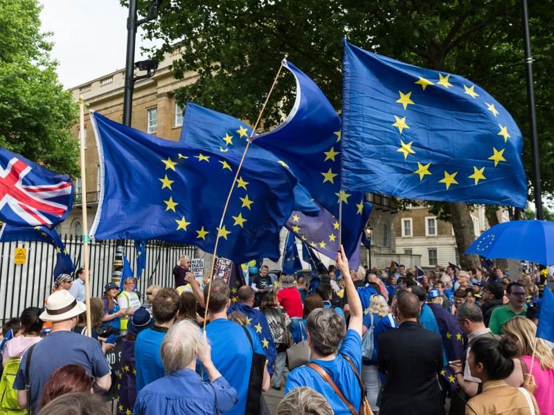 Hundreds of pro-EU supporters gather on Whitehall on the first anniversary of the Brexit referendum to protest against the process of Britain leaving the European Union. Hundreds of pro-EU supporters gather on Whitehall on the first anniversary of the Brexit referendum to protest against the process of Britain leaving the European Union.